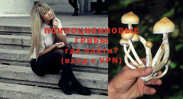 mix Белокуриха