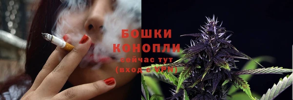 mix Белокуриха