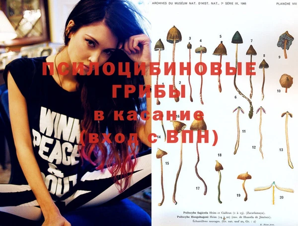 прущая мука Белоозёрский