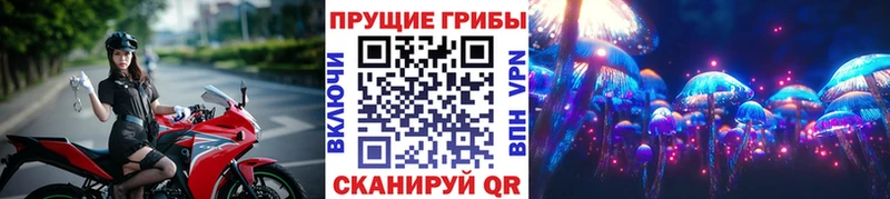 даркнет сайт  Велиж  mega ссылка  Галлюциногенные грибы мухоморы 